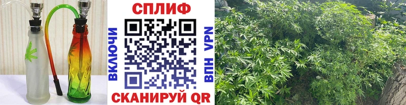 наркота  Динская  Бошки Шишки LSD WEED 